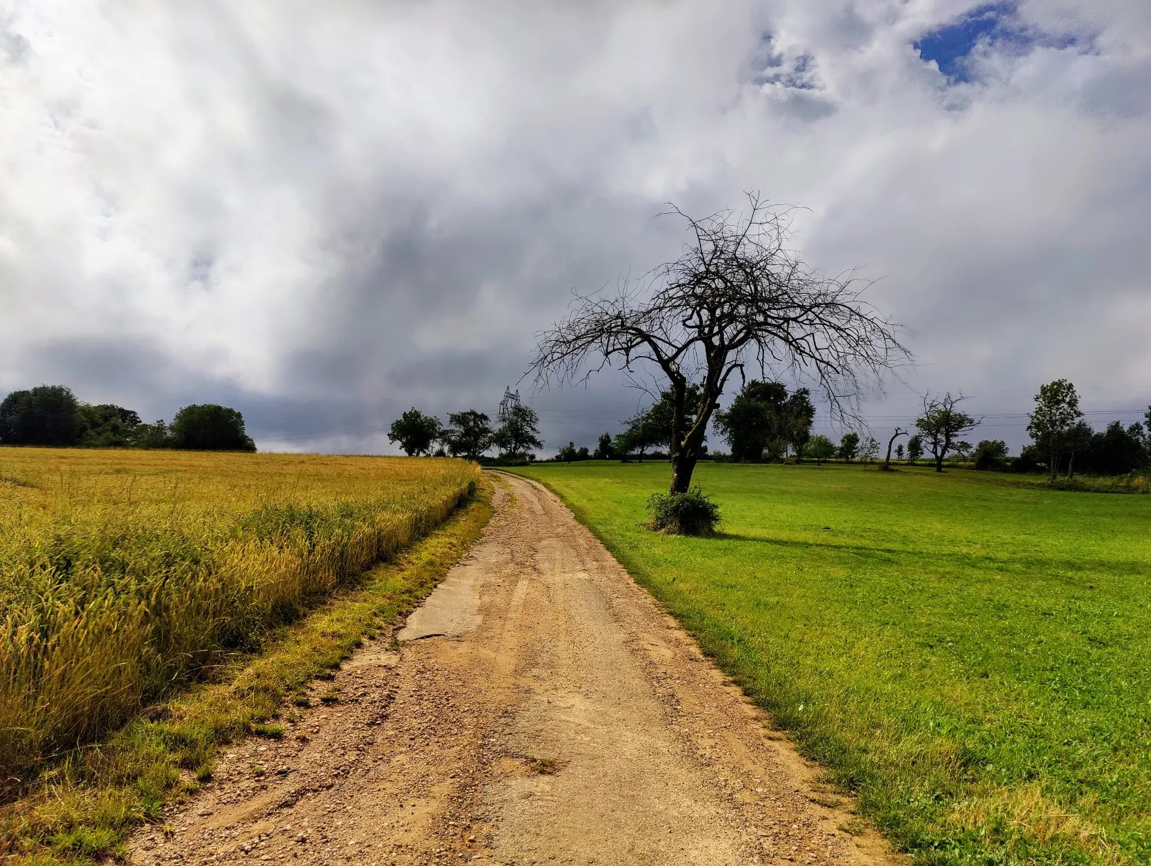 Etappe 43: Dasle ⇒ Saint-Hippolyte - foto 4