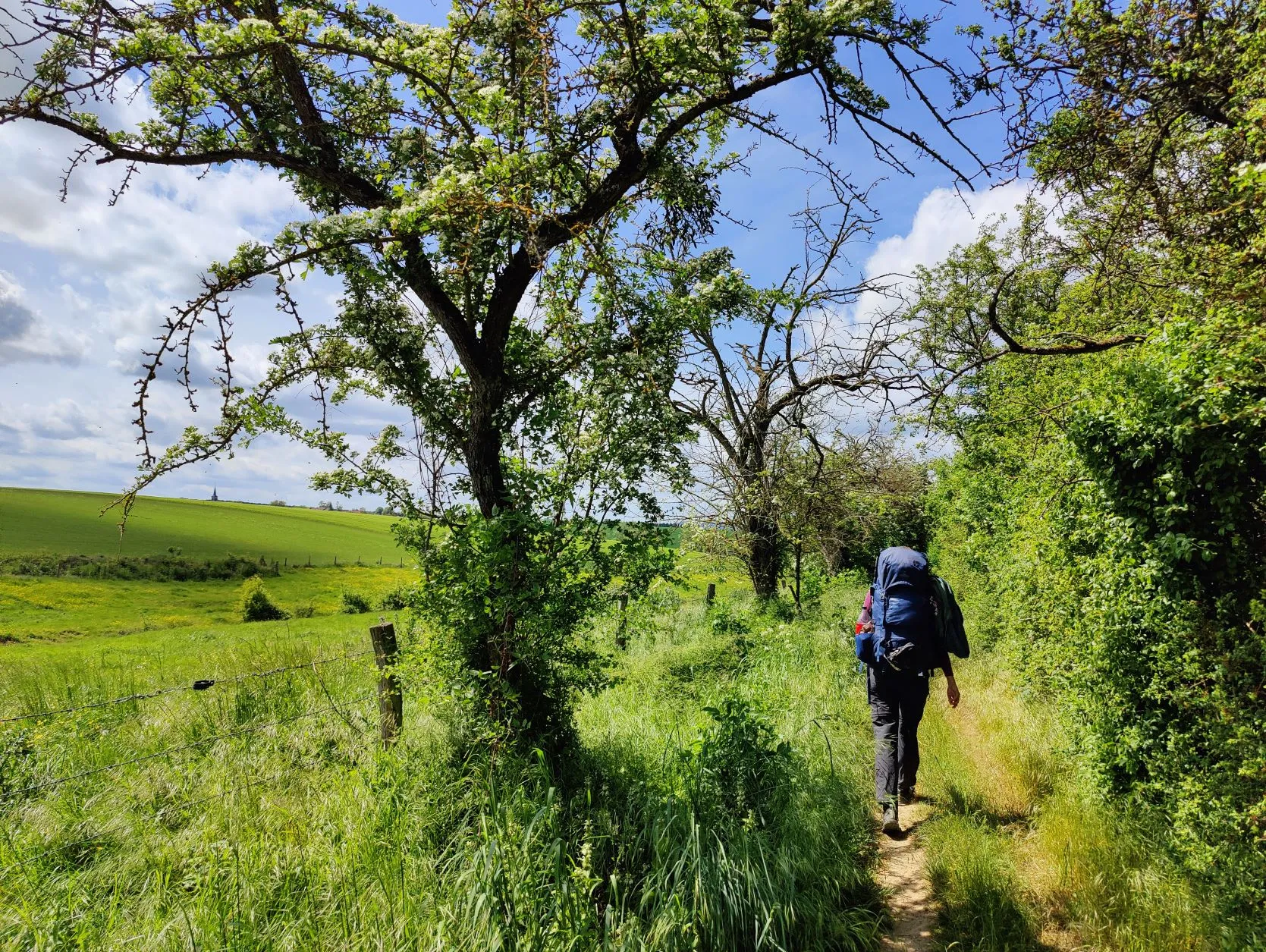 Etappe 17: Kédange-sur-Canner ⇒ Metz (GR5) - foto 4