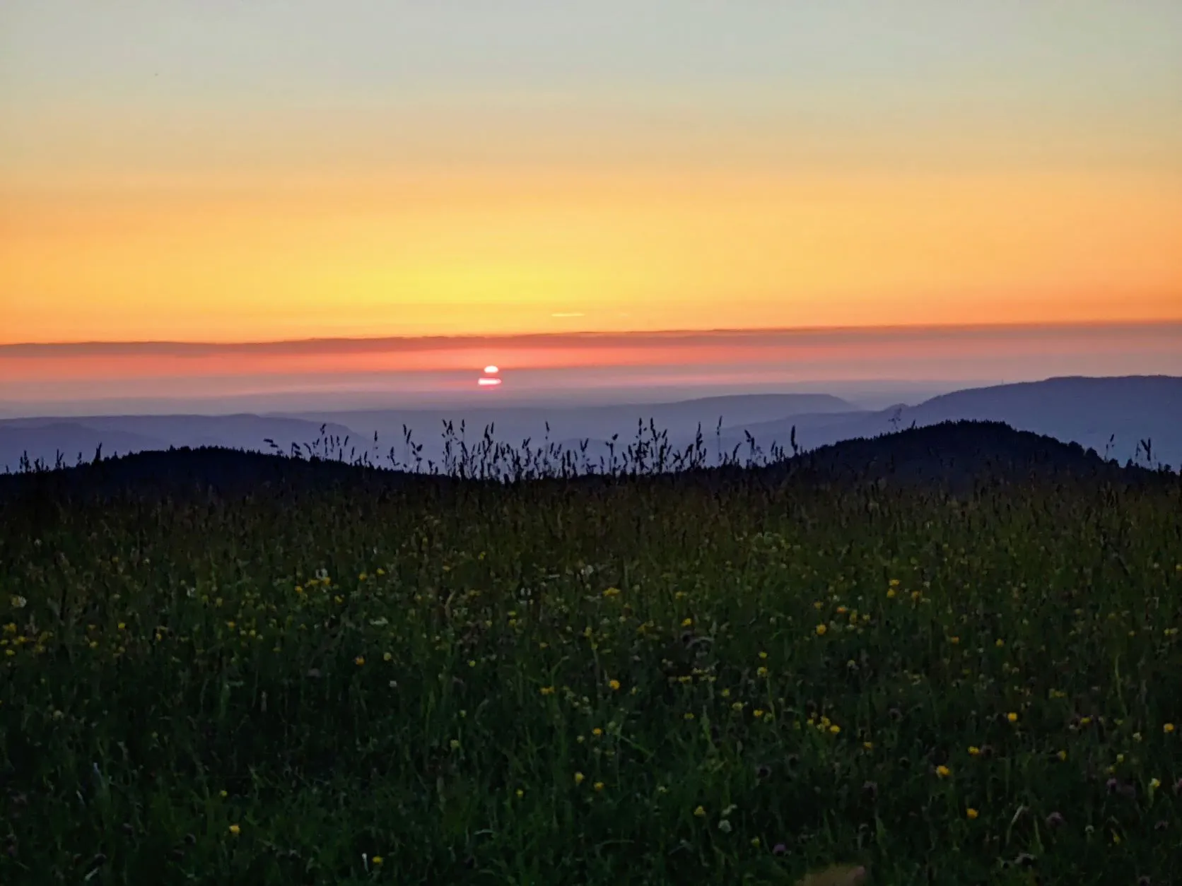 Etappe 34: Ribeauvillé ⇒ Faurupt (GR5) - foto 8