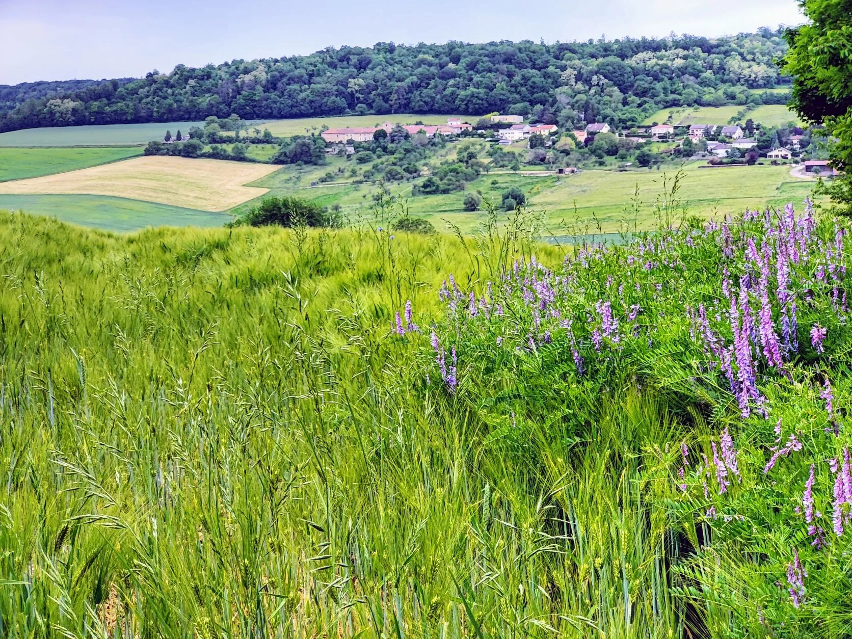 Etappe 22: Liverdun ⇒ Brin-sur-Seille (GR5) - foto 4