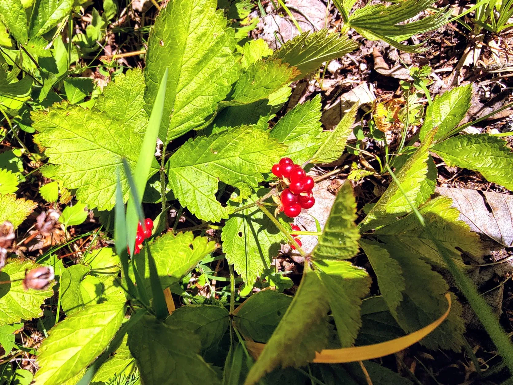 Etappe 52: Mouthe ⇒ Chapelle-des-Bois - foto 6