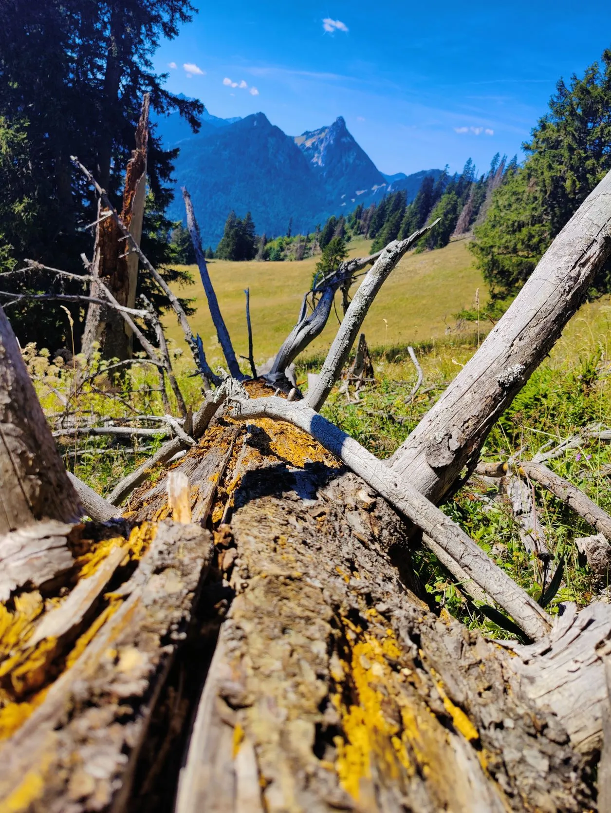 Etappe 57: Vinzier ⇒ Montagne de Neuteu - foto 2