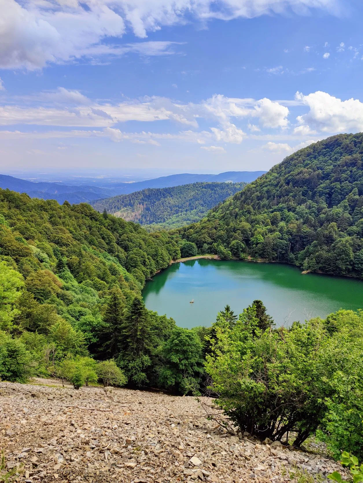 Etappe 39: Thann ⇒ Cabane le Petite Chaume (GR5) - foto 4