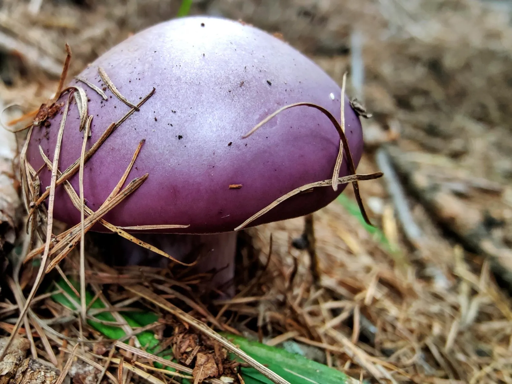 Stage 84: Saint-Étienne-de-Tinée ⇒ Combe de Crousette - photo 7