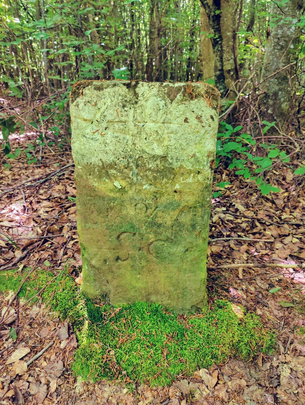 Etappe 27: Gondrexange ⇒ Saint-Quirin (GR5) - foto 6