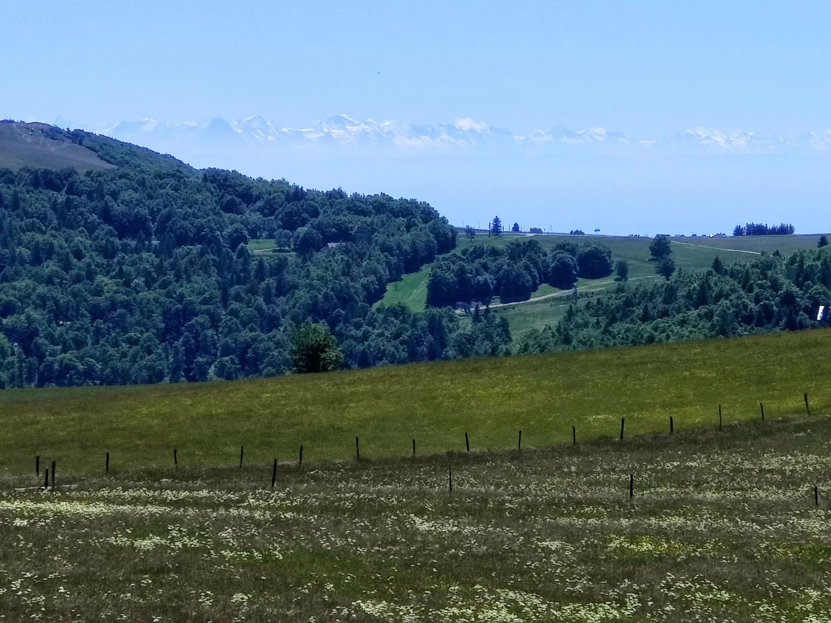 Etappe 37: Mittlach ⇒ Refuge du Storkenkopf (GR5) - foto 4