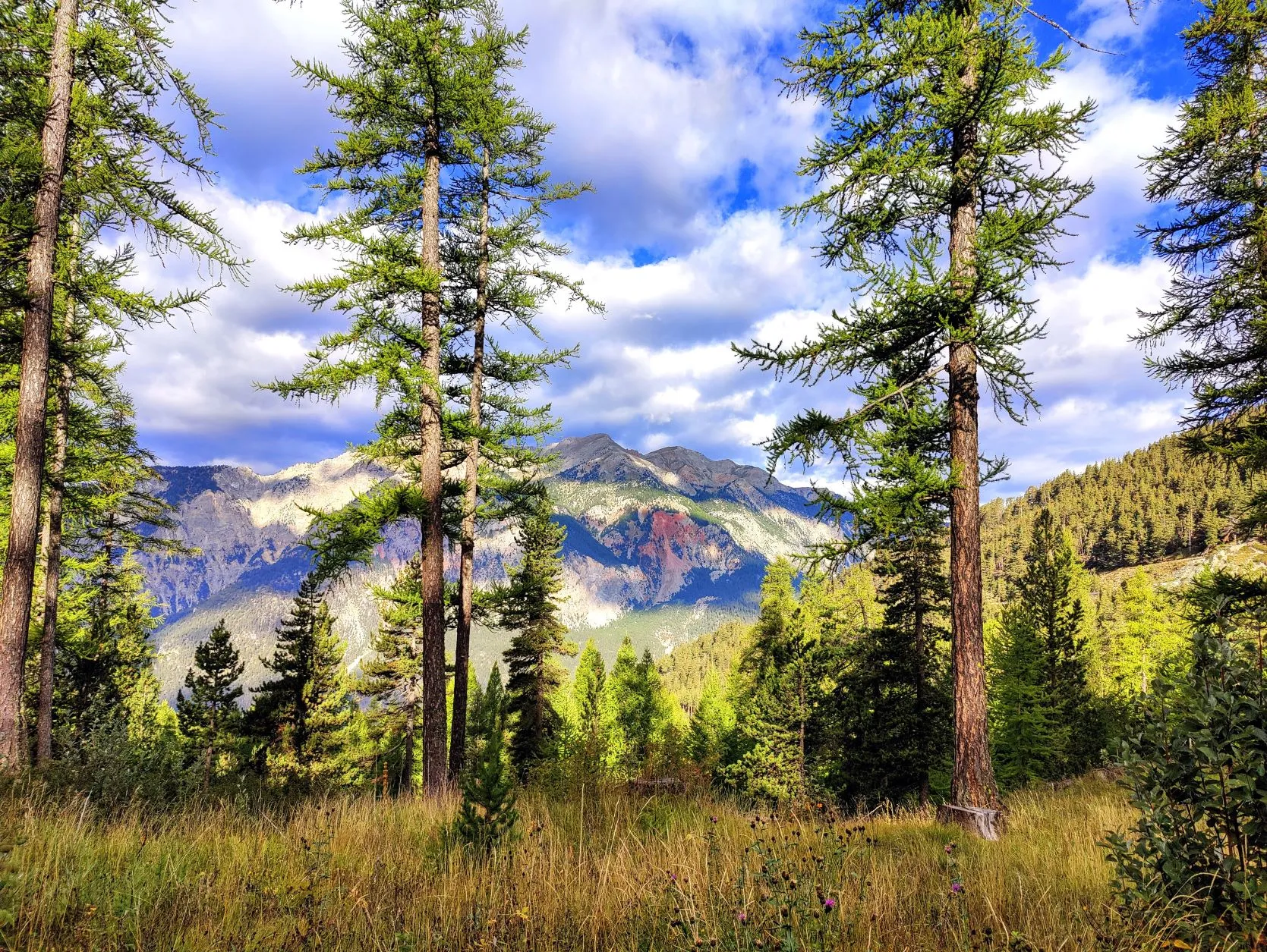 Etappe 77: Montgenèvre ⇒ Briançon - foto 4