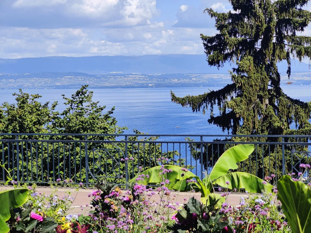 Etappe 56: Thonon-les-Bains ⇒ Vinzier - foto 1