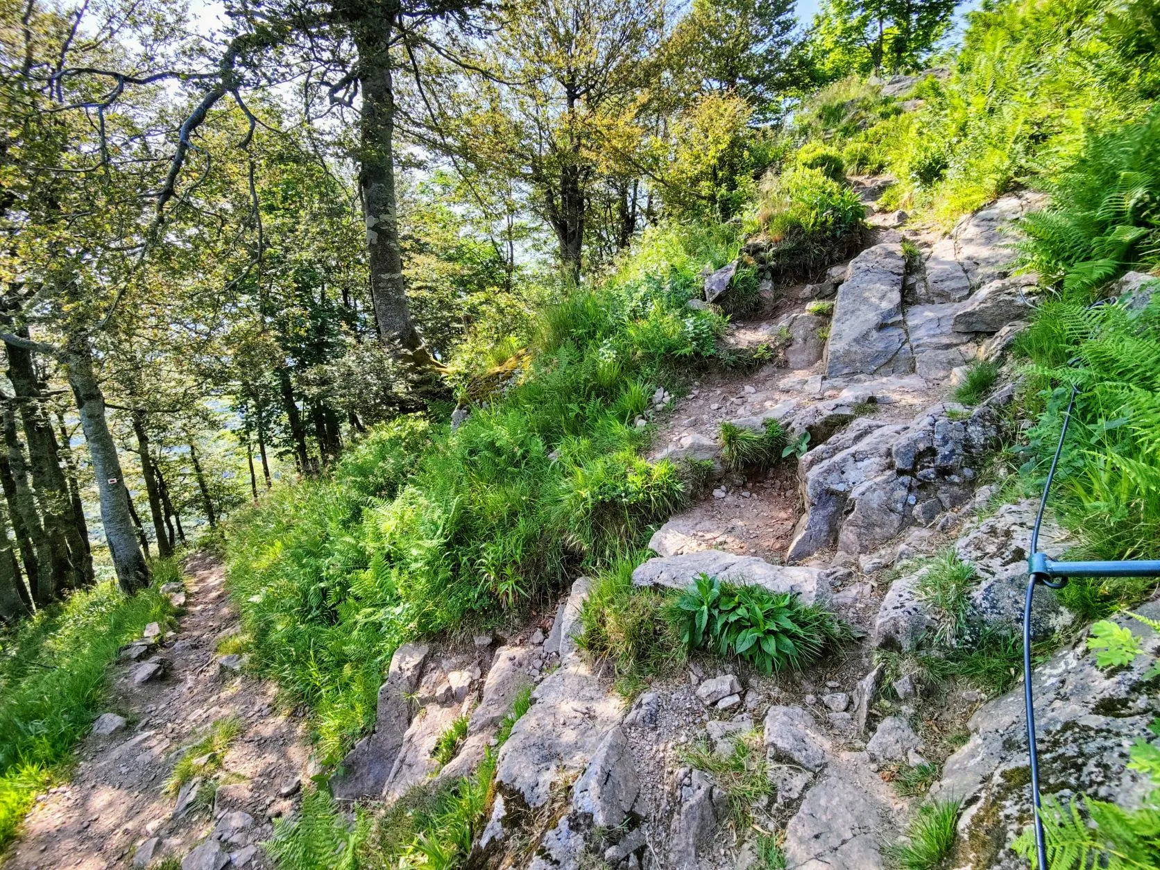 Etappe 40: Cabane le Petite Chaume ⇒ Giromagny (GR5) - foto 2