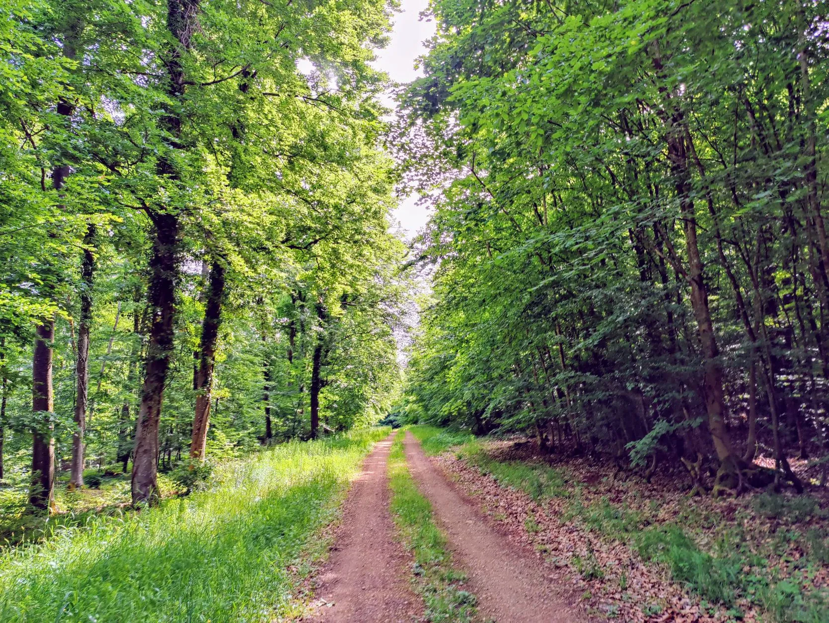 Etappe 22: Liverdun ⇒ Brin-sur-Seille (GR5) - foto 1