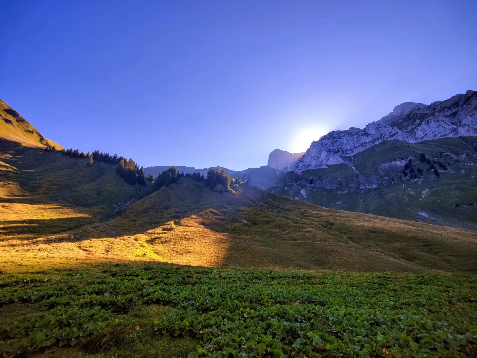 Etappe 58: Montagne de Neuteu ⇒ Chapelle d’Abondance - foto 3