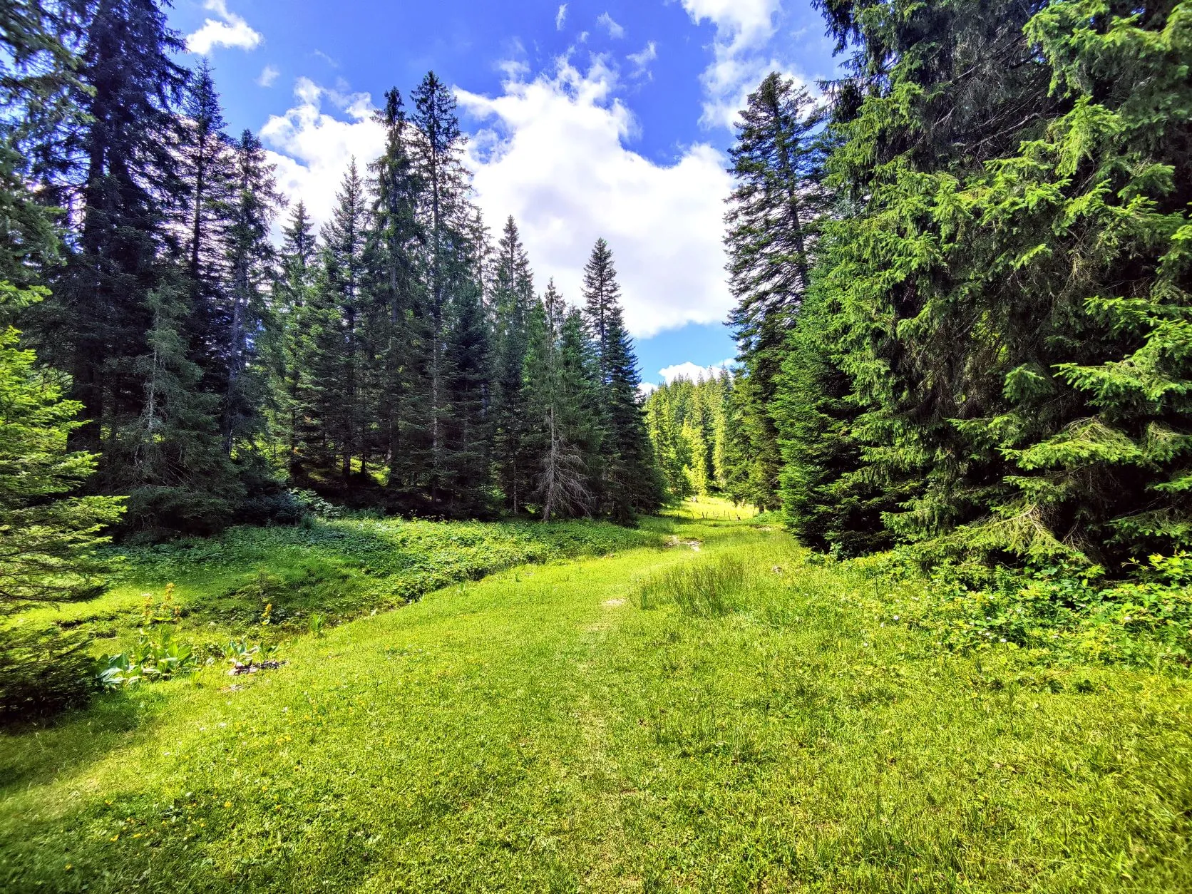 Etappe 49: Cabane du Mont Châteleu ⇒Pontarlier - foto 4