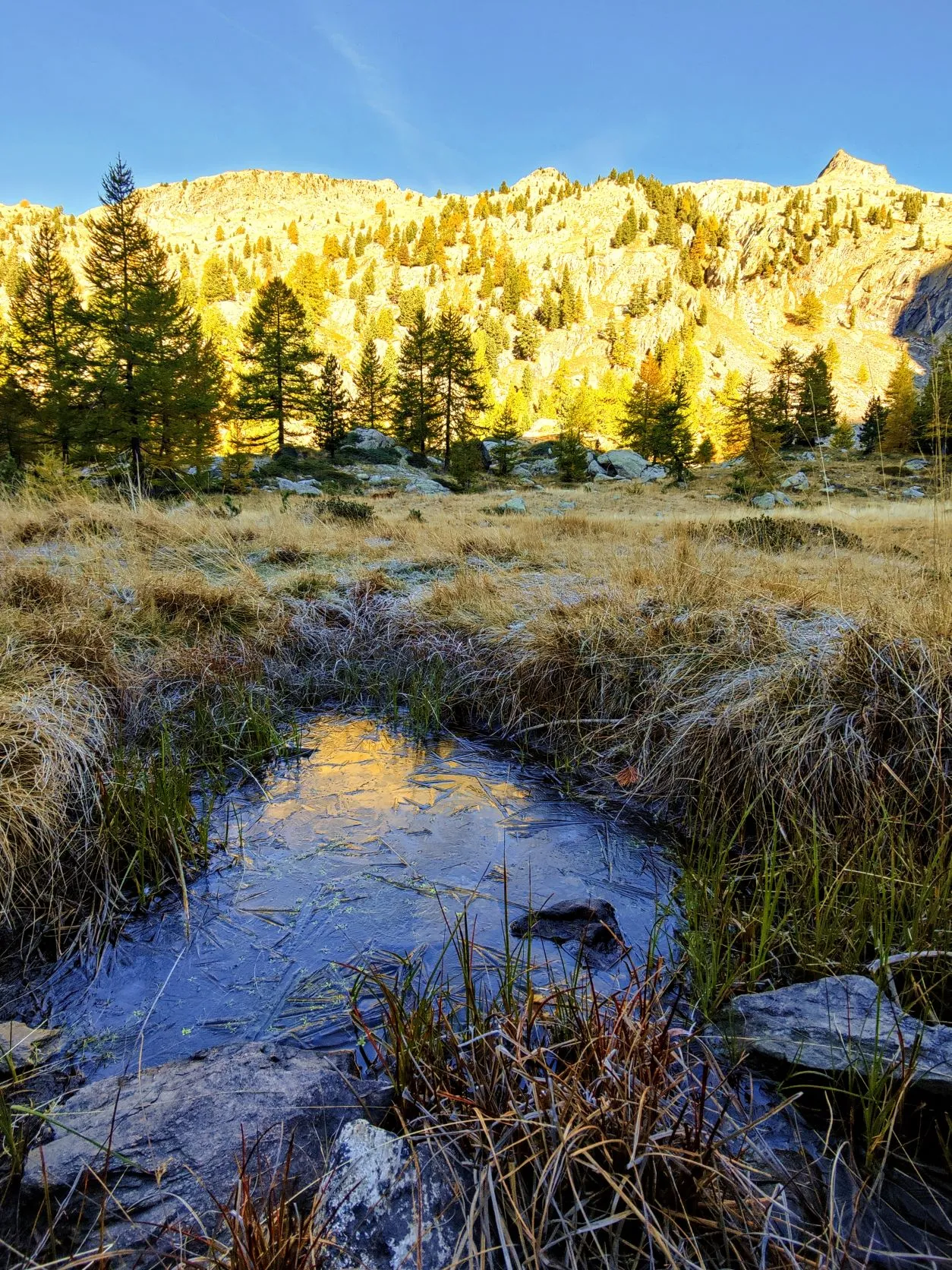 Etappe 88: Le Boréon ⇒ Vallon de la Fous - foto 2