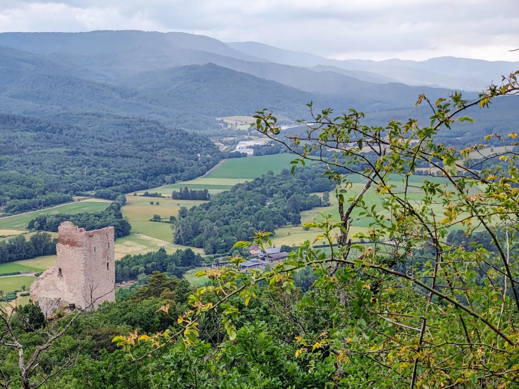 Etappe 32: Barr ⇒ Scherwiller - foto 6