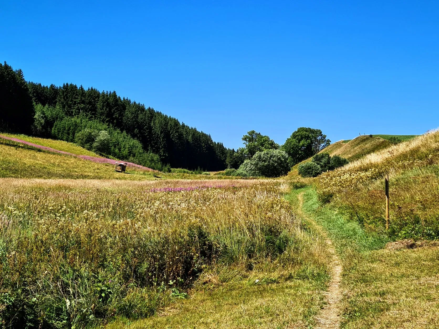 Etappe 52: Mouthe ⇒ Chapelle-des-Bois - foto 4