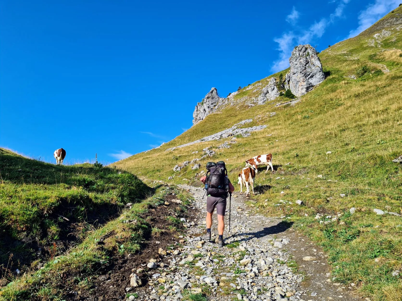 Etappe 61: Col de la Golese ⇒ Verchaix - foto 2