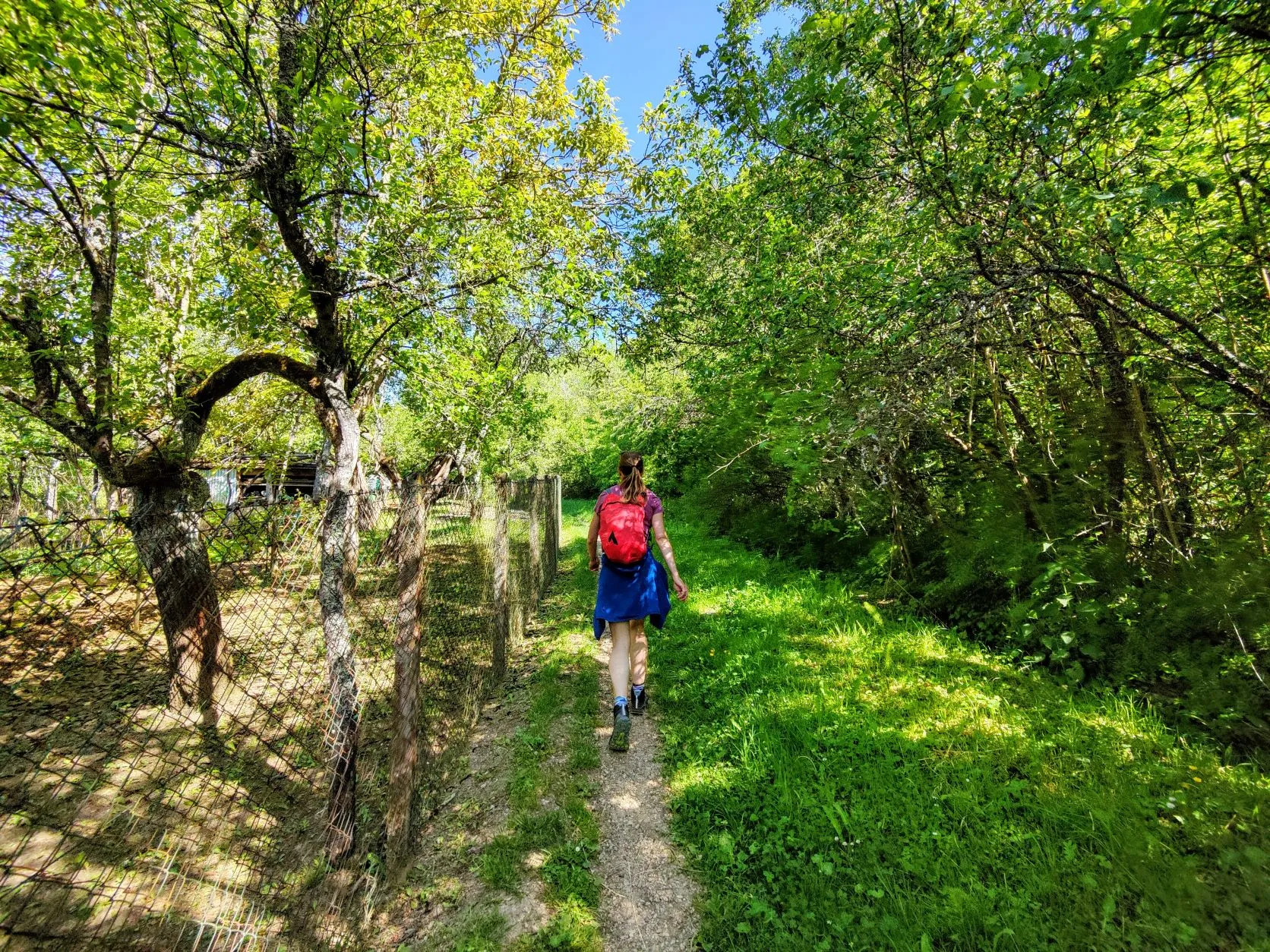 Etappe 18: Metz ⇒ Ancy-Dornot (GR5) - foto 2