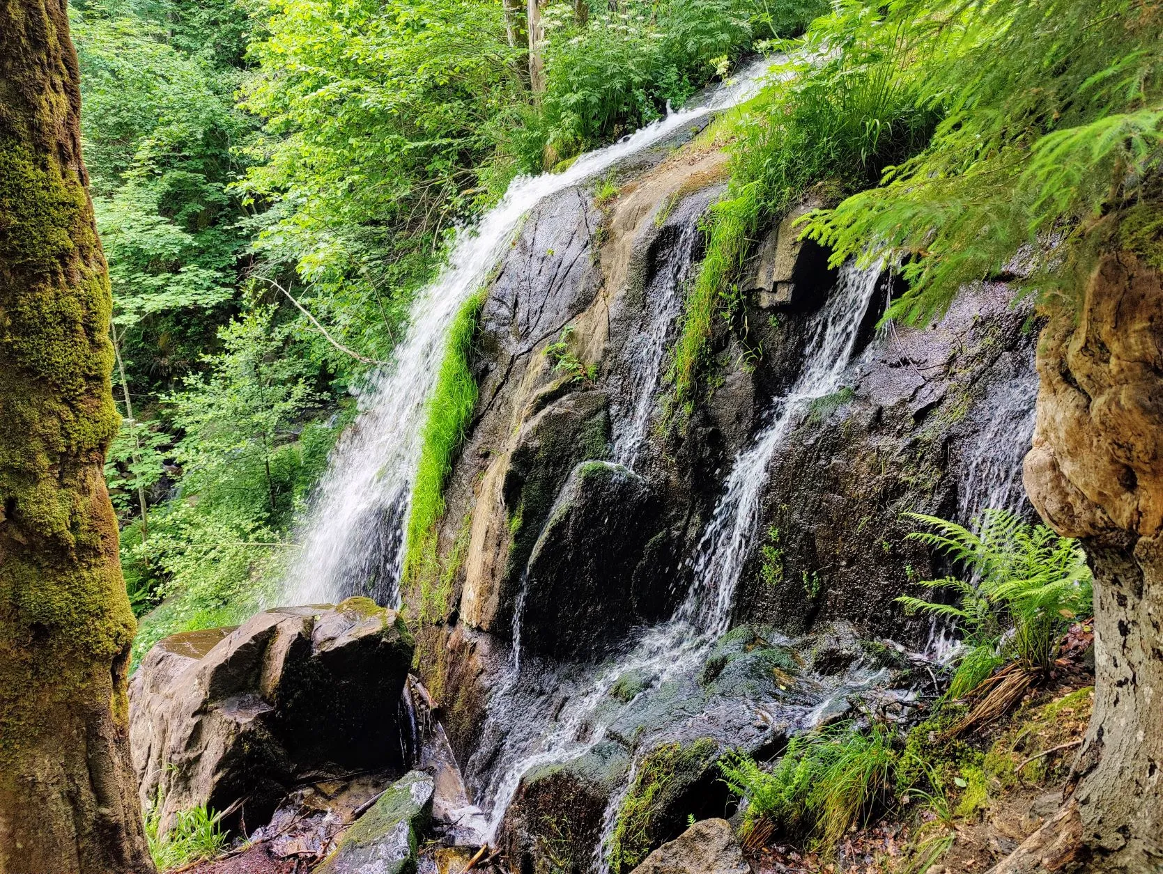 Etappe 30: Schirmeck ⇒ Le Hohwald (GR5) - foto 6