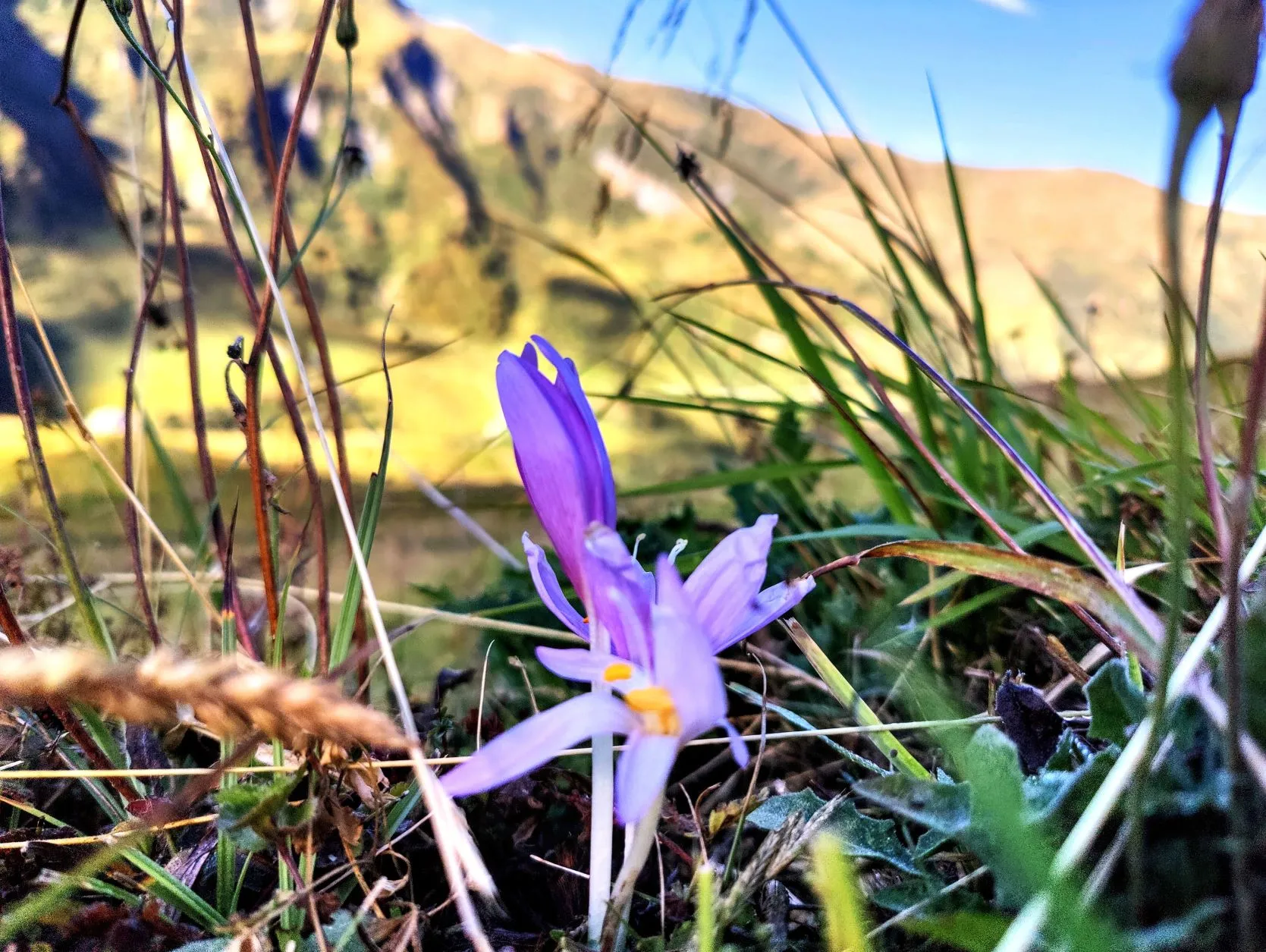 Etappe 66: Les Sauces ⇒ Landry - foto 5