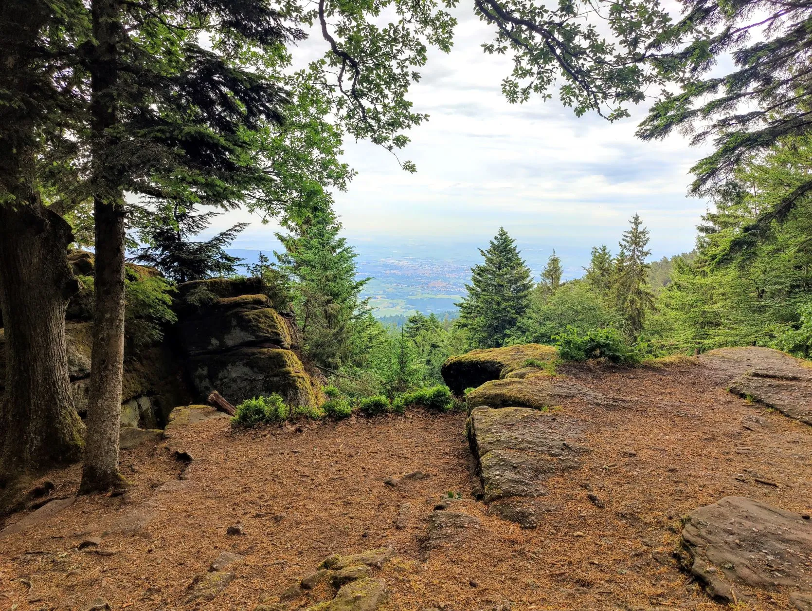 Etappe 31: Le Hohwald ⇒ Barr (GR5) - foto 5