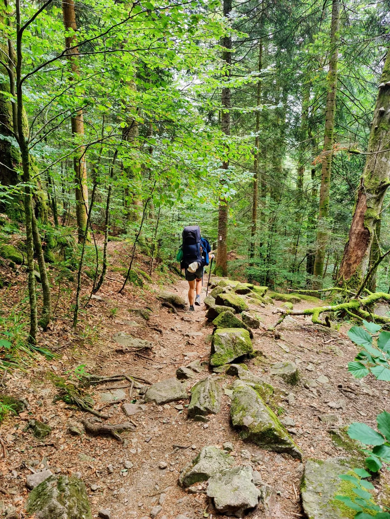 Etappe 40: Cabane le Petite Chaume ⇒ Giromagny (GR5) - foto 5