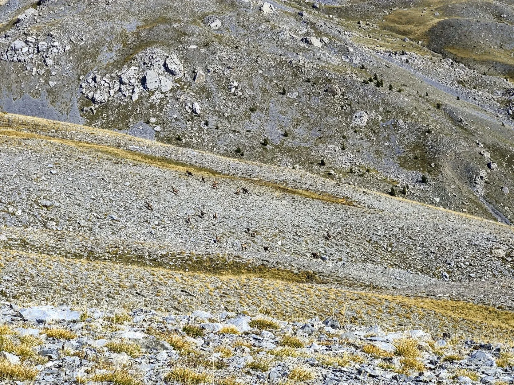 Etappe 85: Combe de Crousette ⇒ Crête de la Clauetta - foto 2