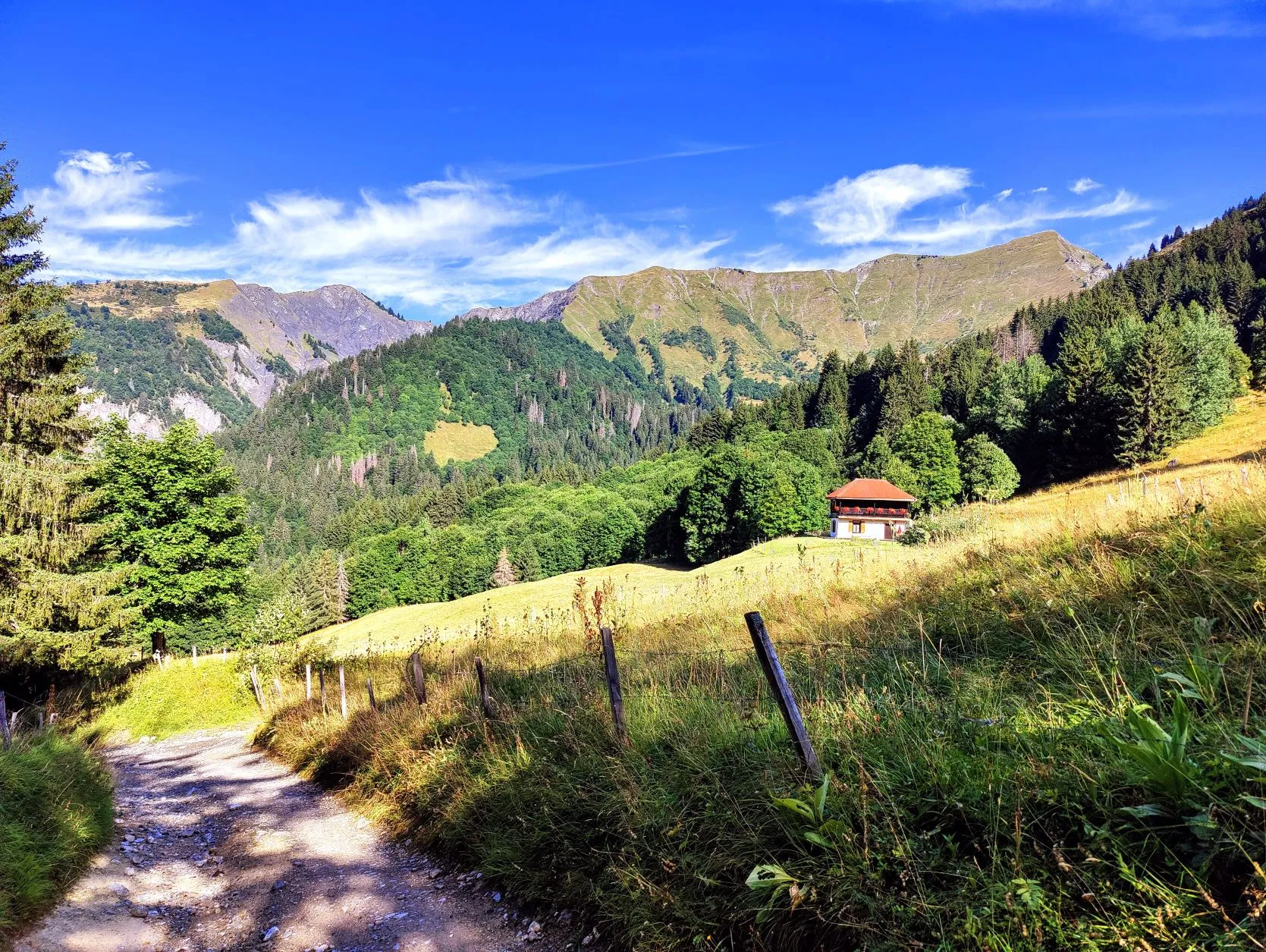 Etappe 61: Col de la Golese ⇒ Verchaix - foto 5