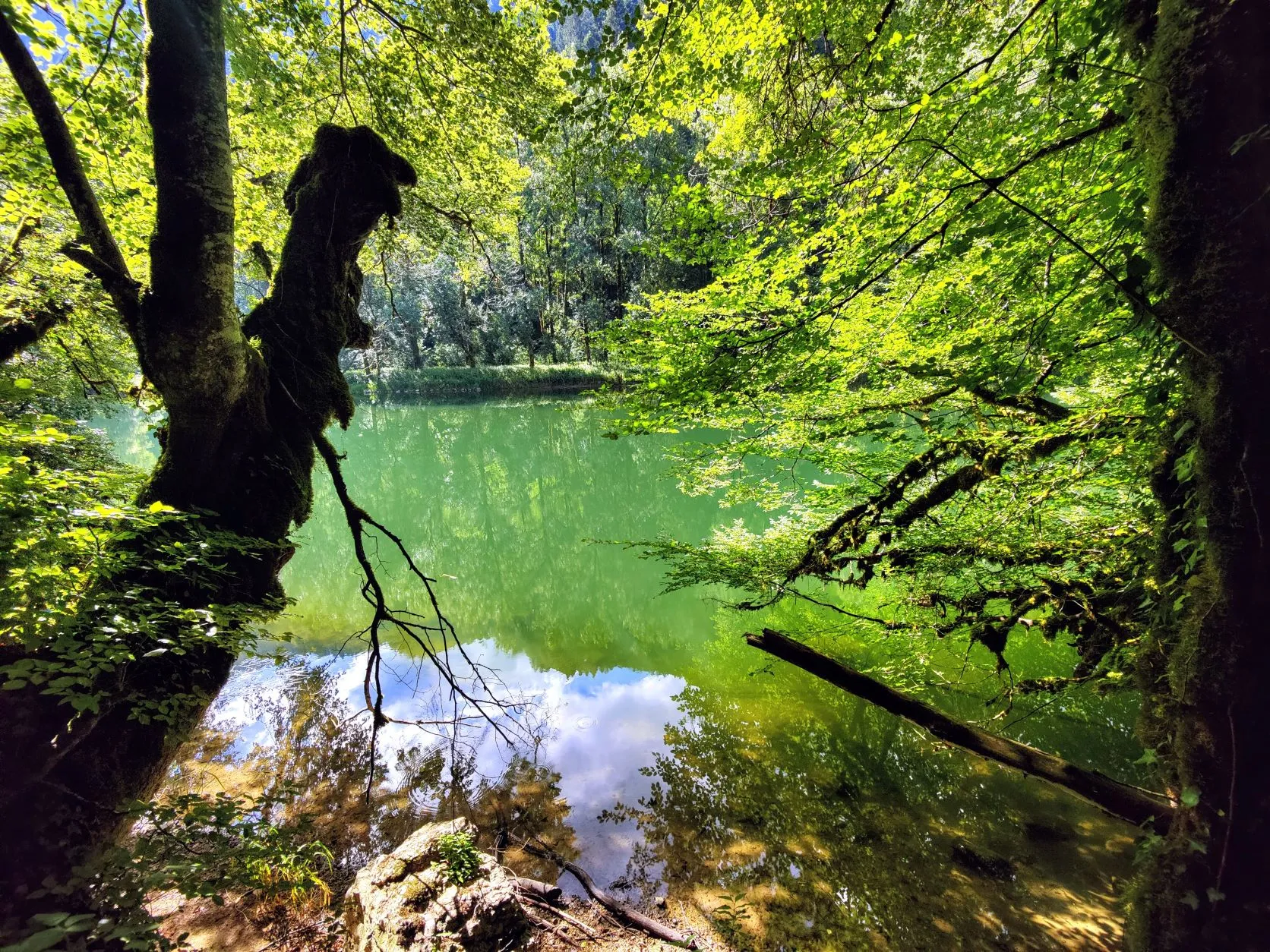 Etappe 45: Goumois ⇒ Abri des Pêcheurs - foto 1