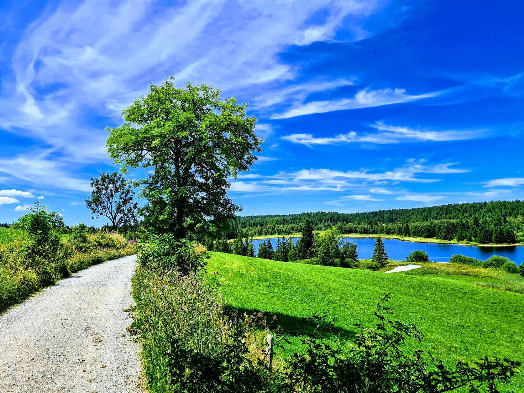 Etappe 53: Chapelle-des-Bois ⇒ Les Rousses - foto 6