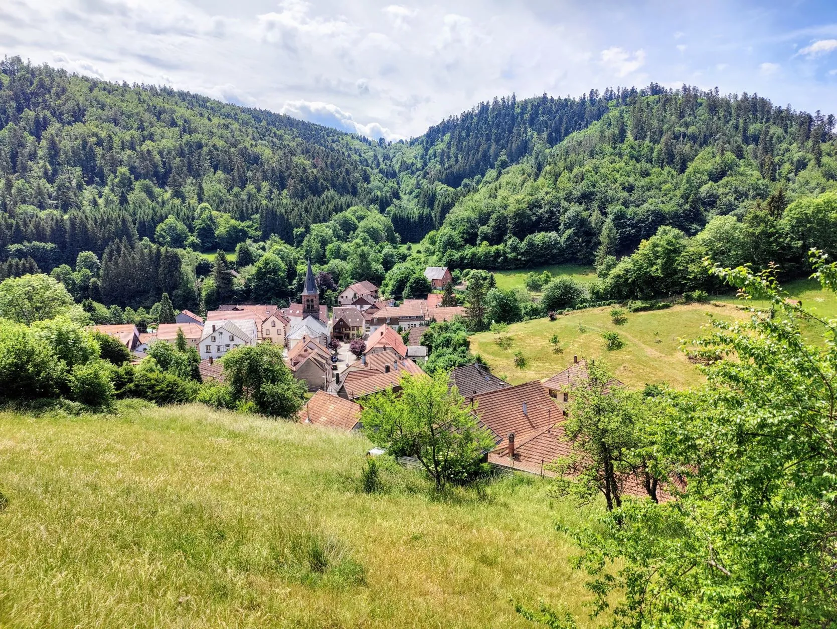 Etappe 29: Col du Donon ⇒ Schirmeck (GR5) - foto 5