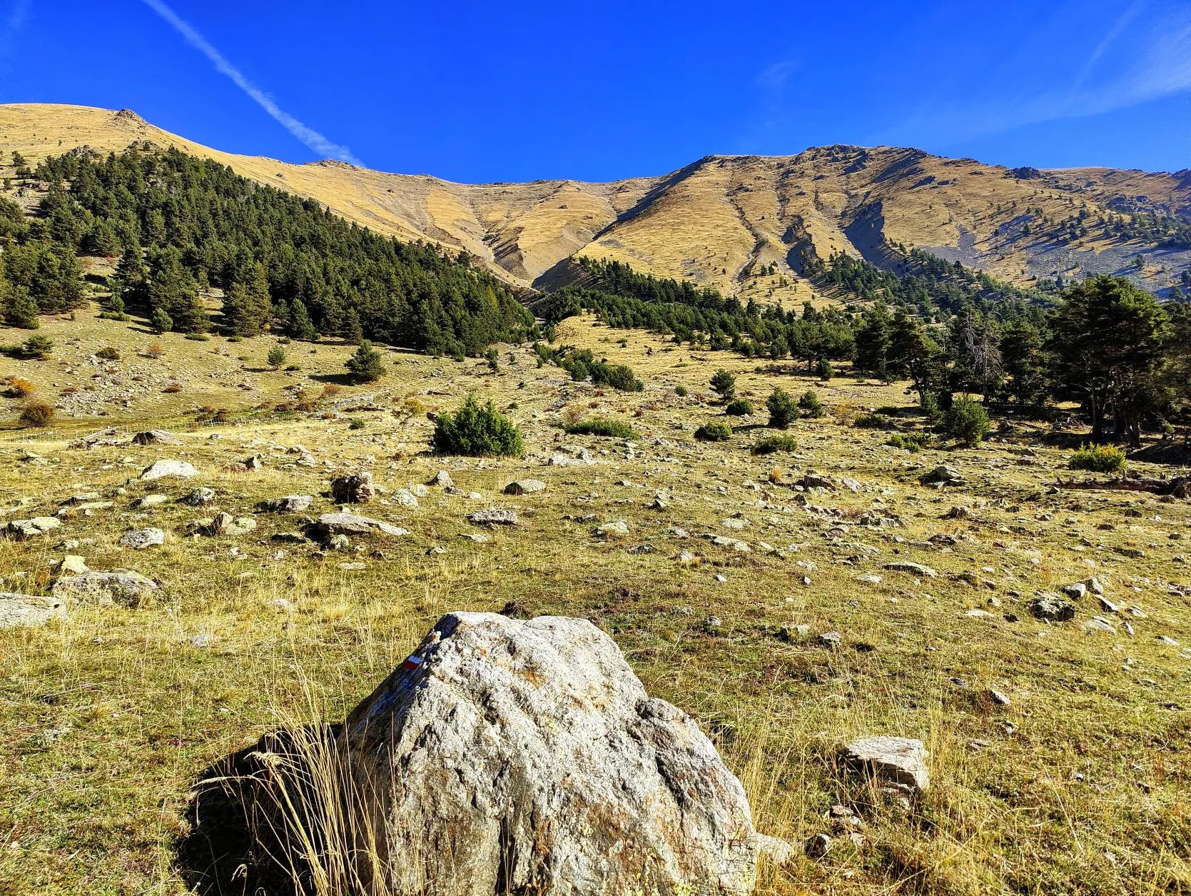 Etappe 87: Saint-Dalmas ⇒ Boréon - foto 2