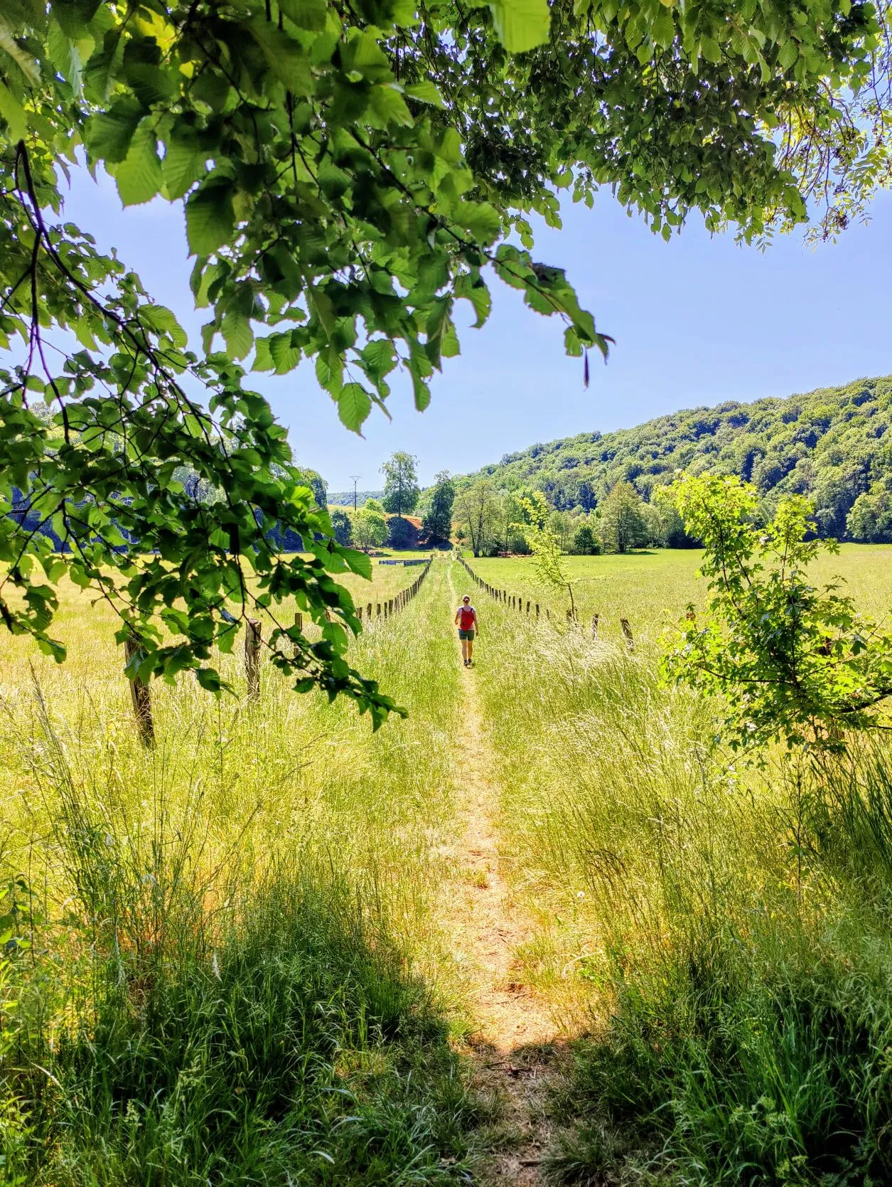Etappe 21: Pont-à-Mousson ⇒ Liverdun (GR5) - foto 2