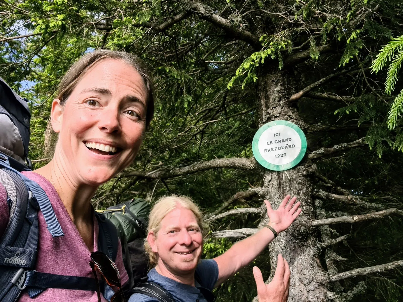 Etappe 34: Ribeauvillé ⇒ Faurupt (GR5) - foto 5