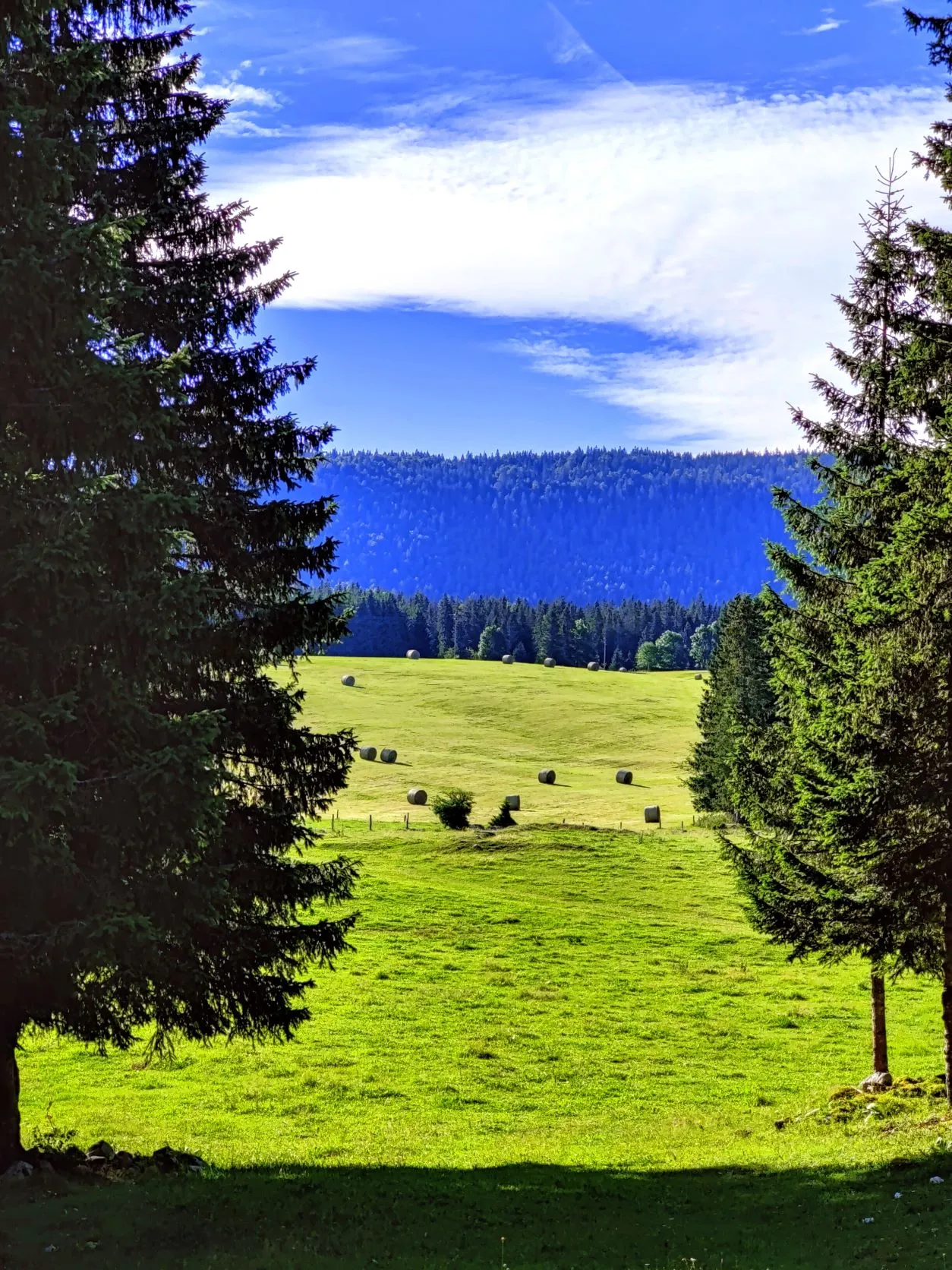 Etappe 53: Chapelle-des-Bois ⇒ Les Rousses - foto 1