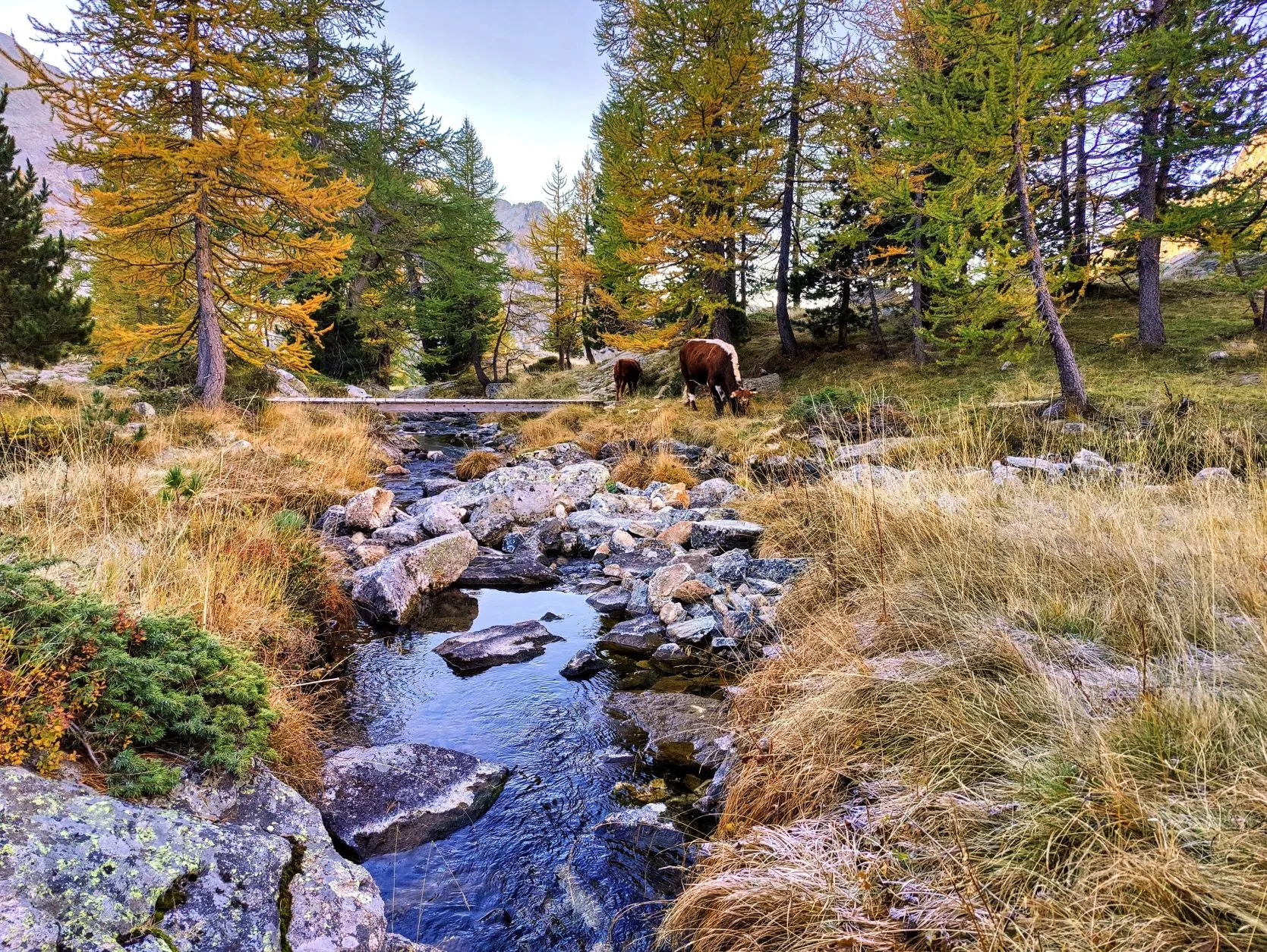 Etappe 88: Le Boréon ⇒ Vallon de la Fous - foto 3