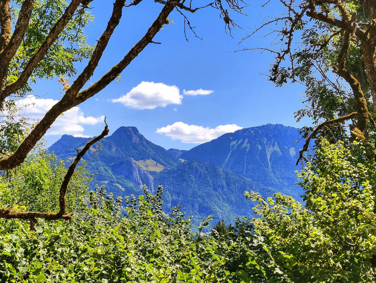 Etappe 56: Thonon-les-Bains ⇒ Vinzier - foto 6