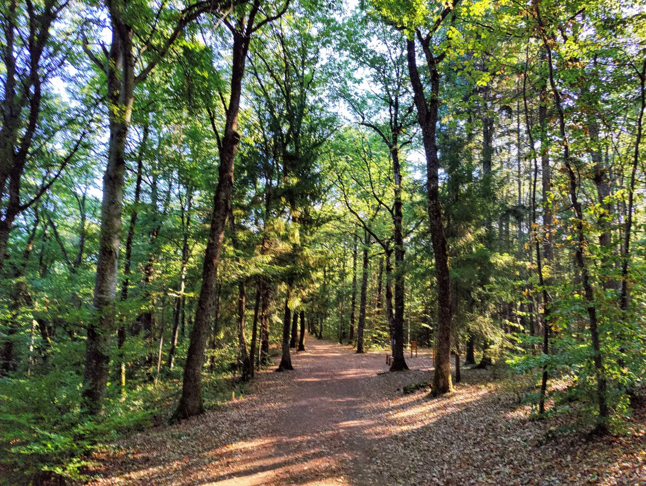 Etappe 56: Thonon-les-Bains ⇒ Vinzier - foto 3