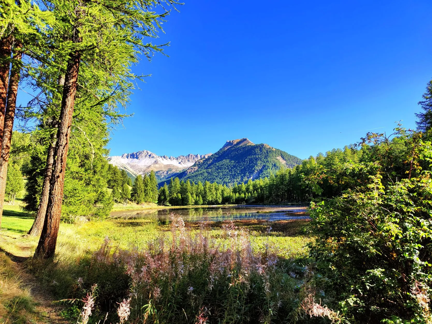 Etappe 79: Brunissard ⇒ Ceillac - foto 7