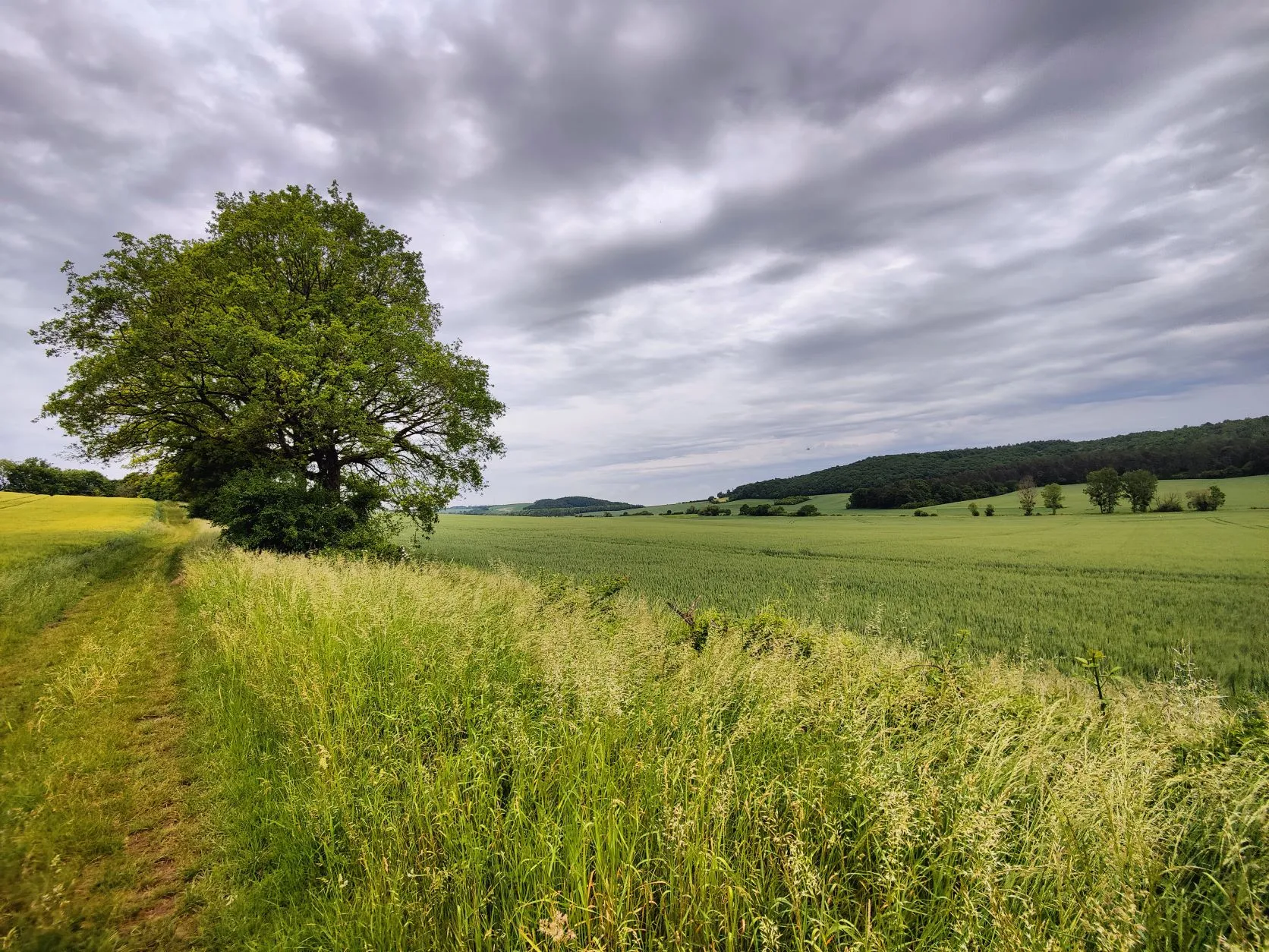 Etappe 23: Brin-sur-Seille ⇒ Vic-sur-Seille (GR5) - foto 5