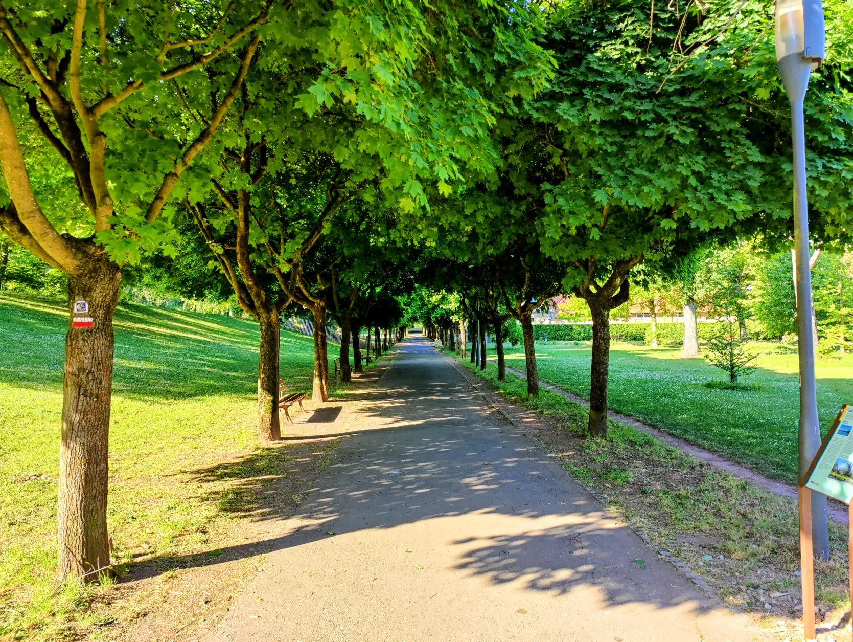 Etappe 18: Metz ⇒ Ancy-Dornot (GR5) - foto 1