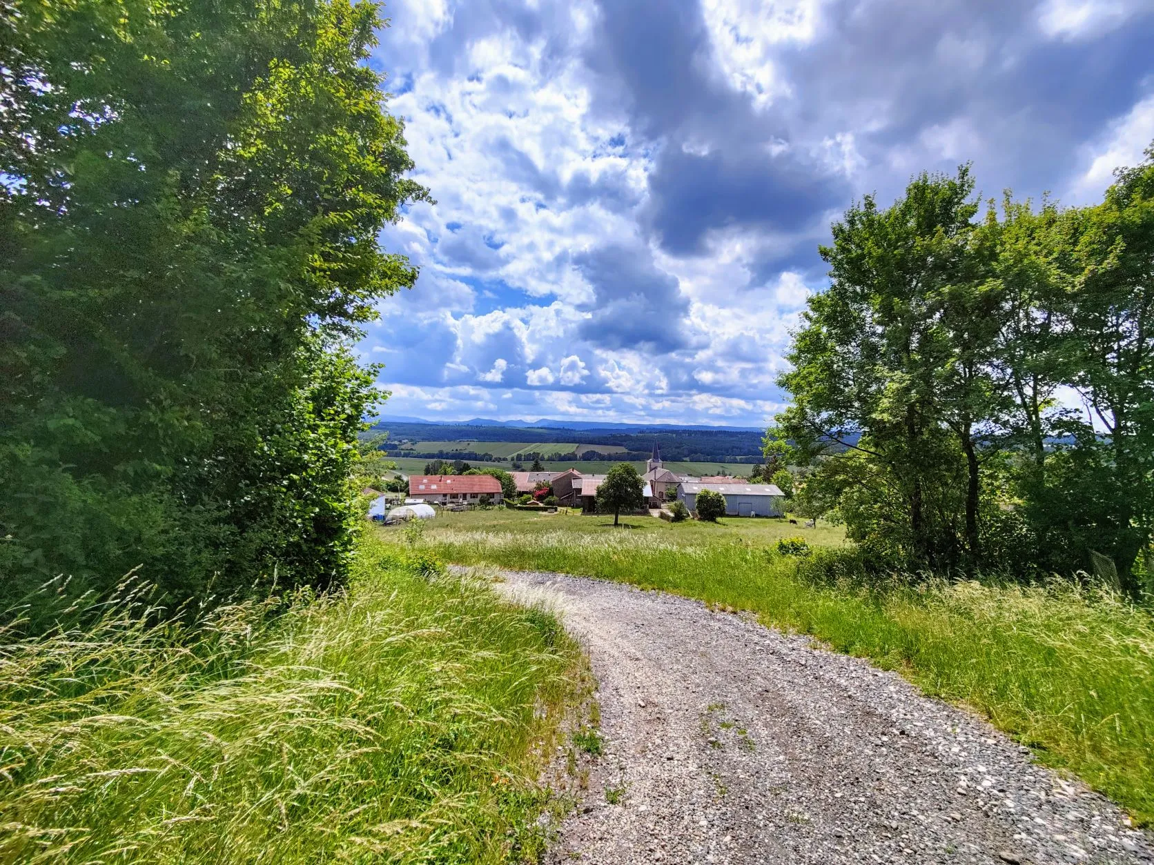 Etappe 27: Gondrexange ⇒ Saint-Quirin (GR5) - foto 5