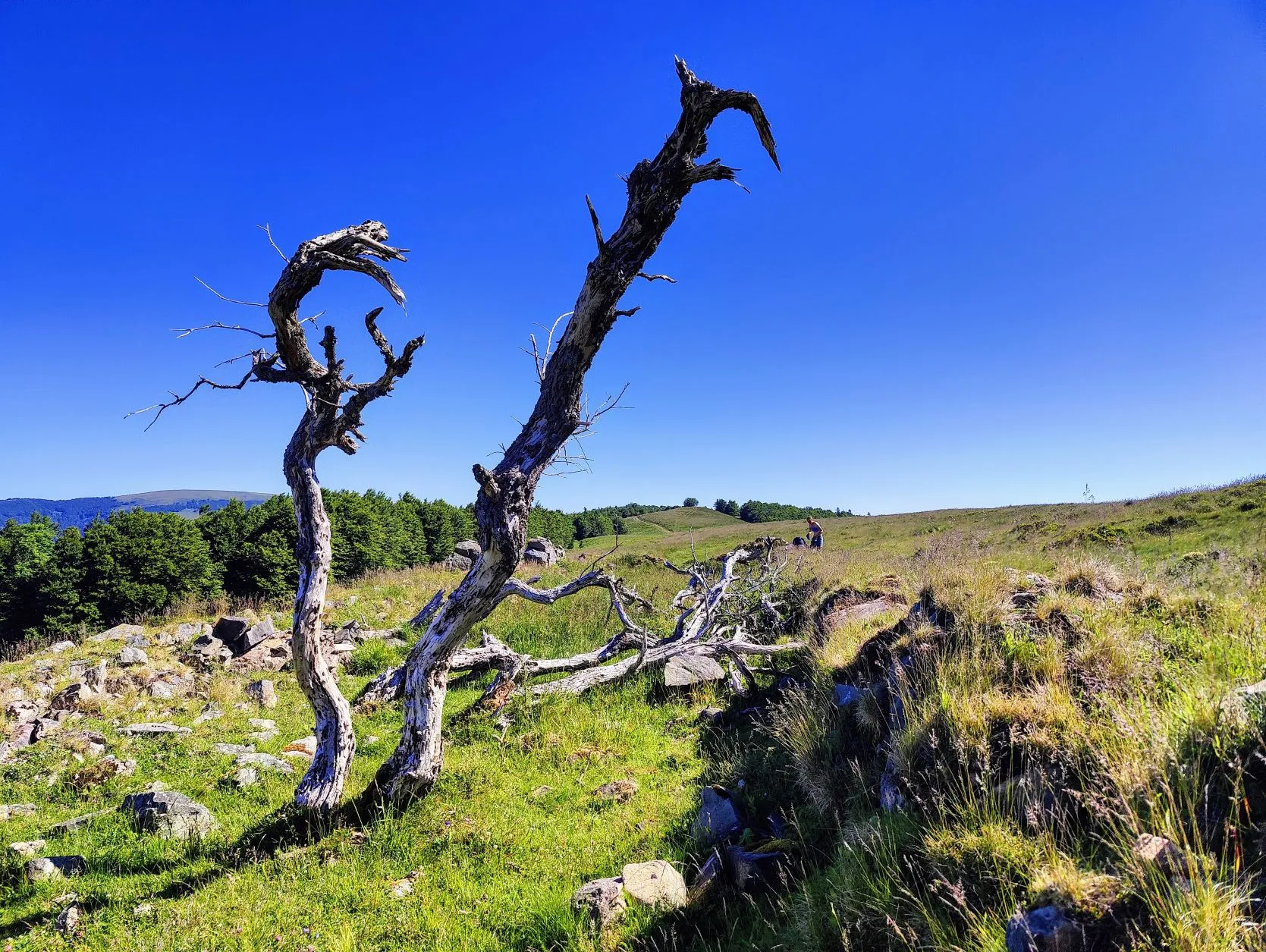 Etappe 37: Mittlach ⇒ Refuge du Storkenkopf (GR5) - foto 3