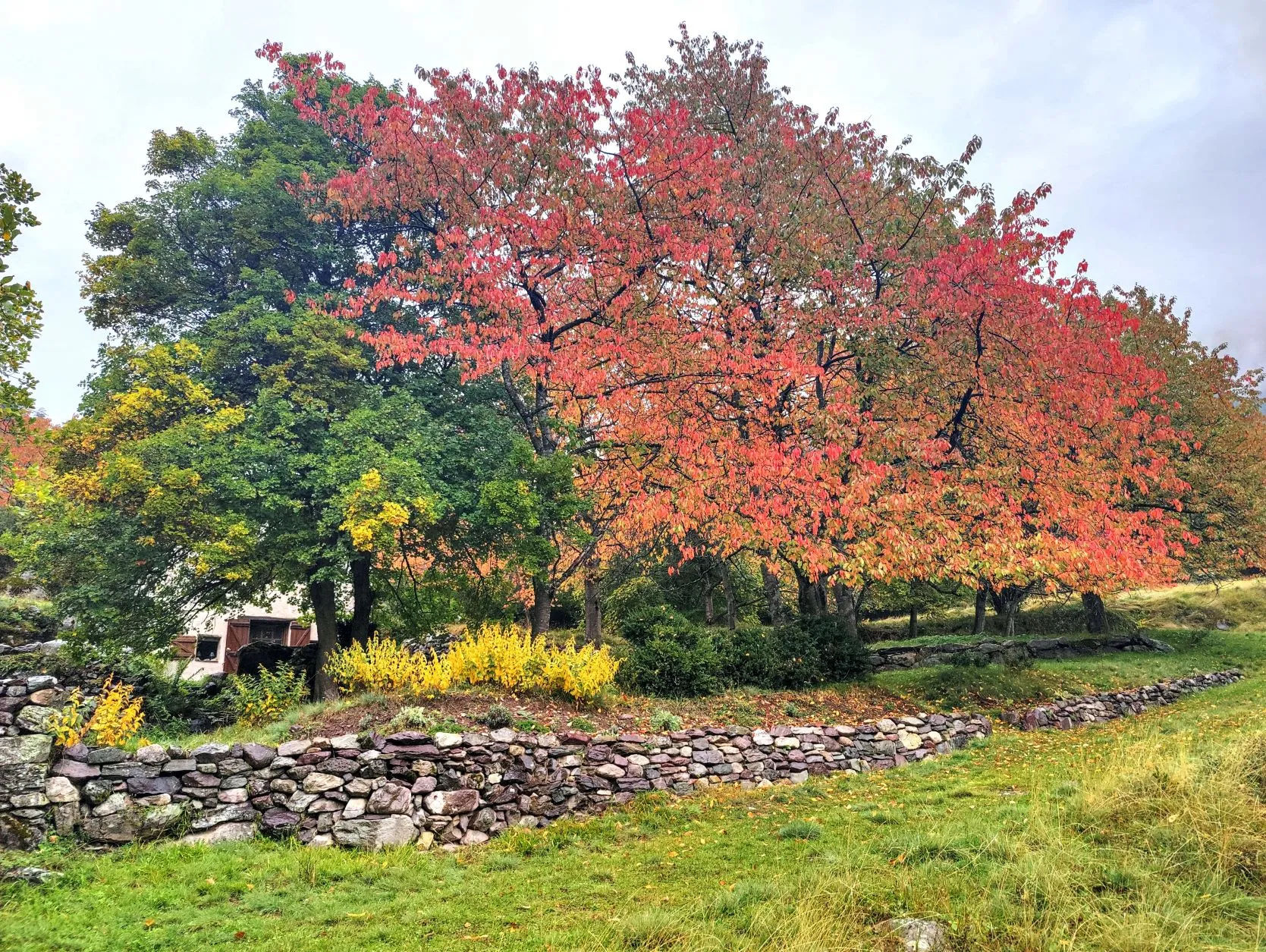 Etappe 90: Granges de Faisset ⇒ Fontan - foto 4