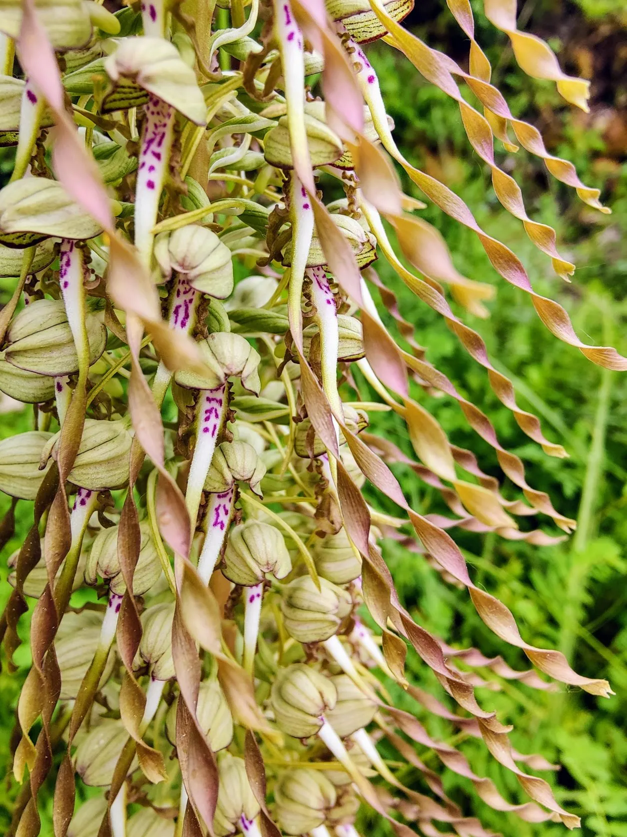 Etappe 20: Pagny-sur-Moselle ⇒ Pont-à-Mousson (GR5) - foto 4