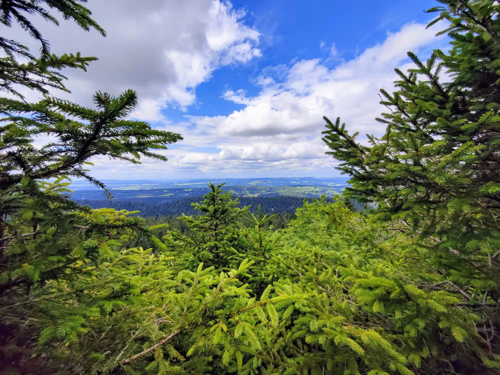 Etappe 49: Cabane du Mont Châteleu ⇒Pontarlier - foto 6