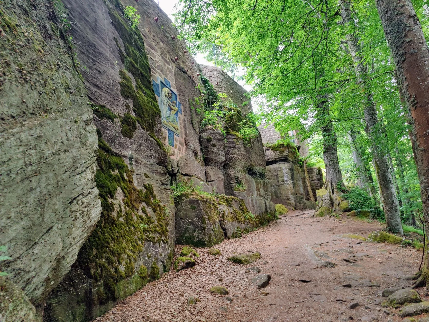 Etappe 31: Le Hohwald ⇒ Barr (GR5) - foto 2