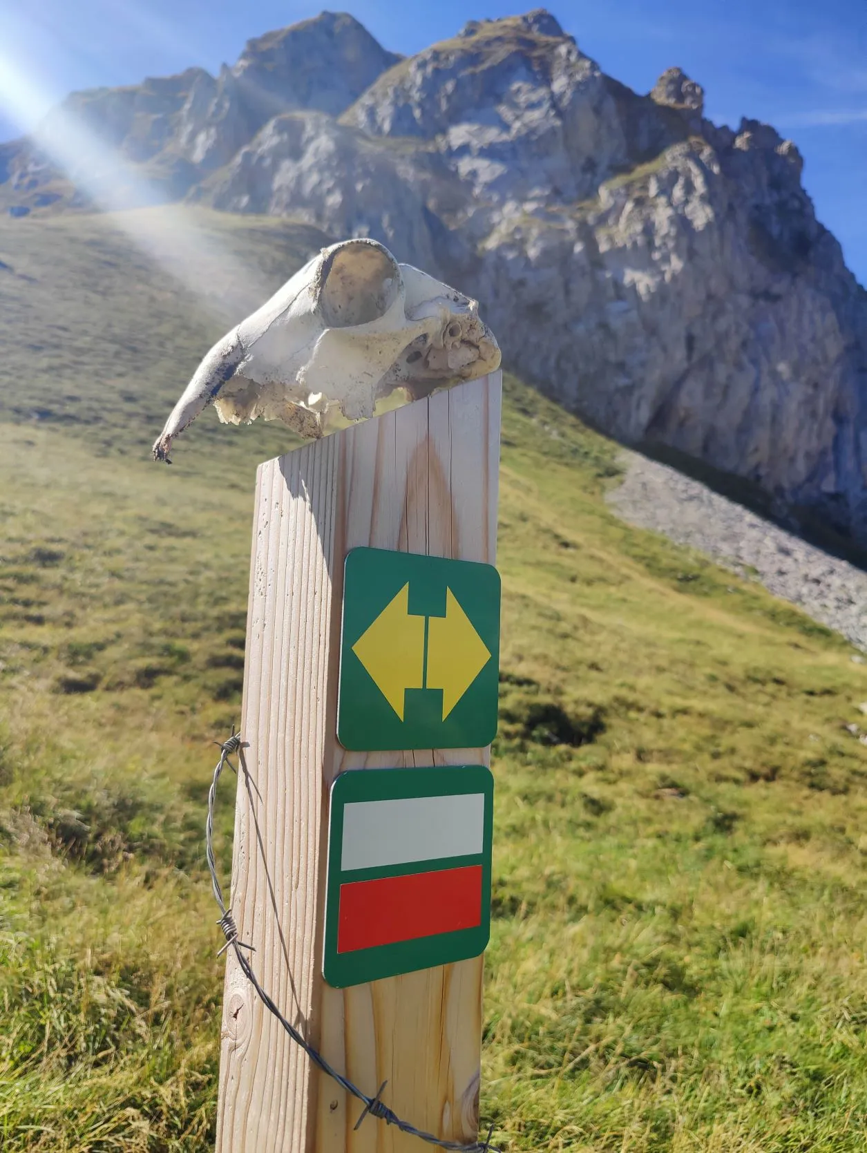 Etappe 57: Vinzier ⇒ Montagne de Neuteu - foto 8