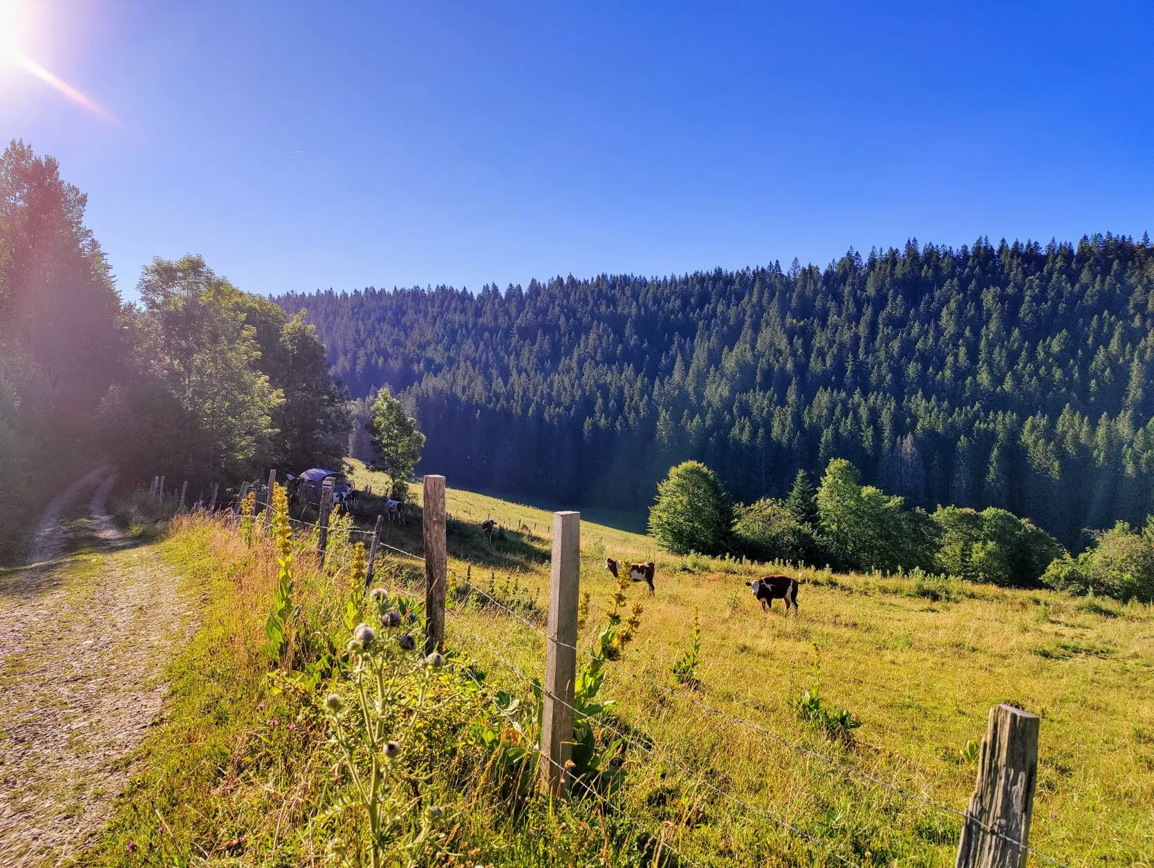 Etappe 49: Cabane du Mont Châteleu ⇒Pontarlier - foto 1