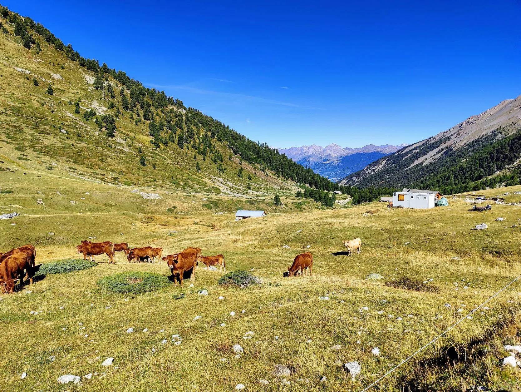 Etappe 78: Briançon ⇒ Brunissard - foto 5