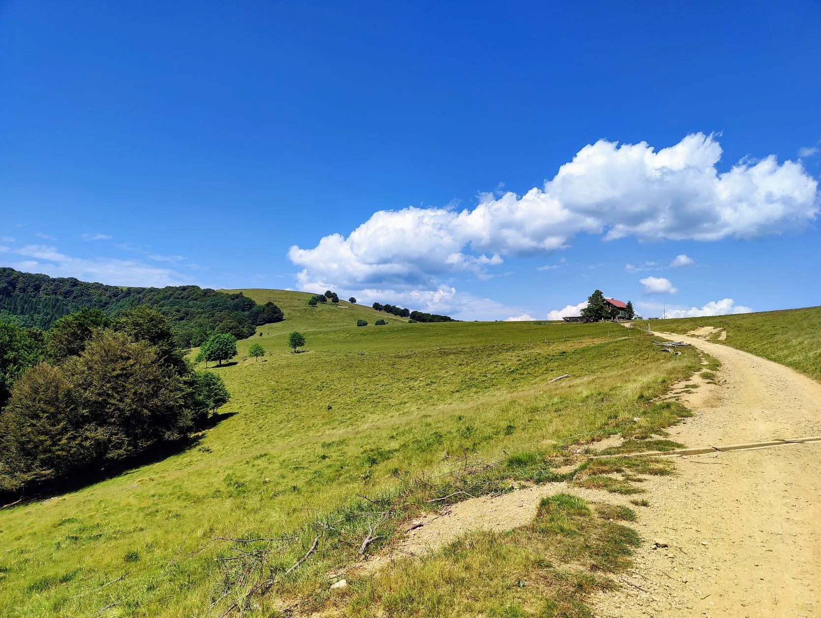 Etappe 39: Thann ⇒ Cabane le Petite Chaume (GR5) - foto 2